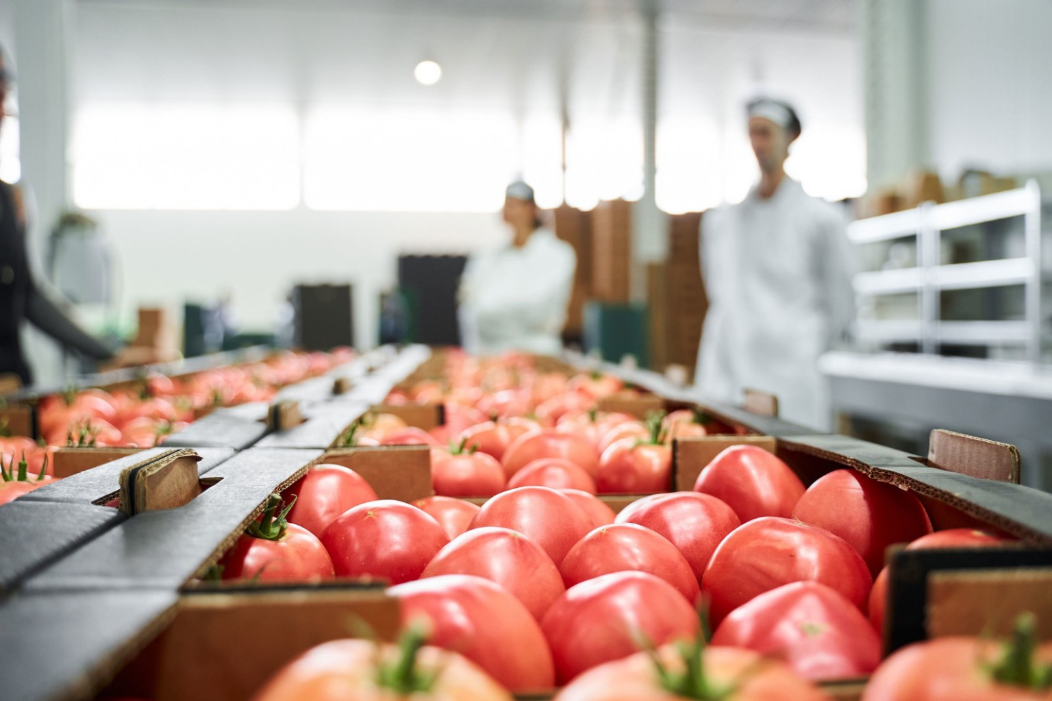 A Nova ISO 22002-1:2025 e o Futuro da Segurança de Alimentos